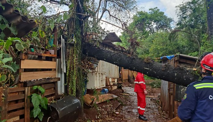  Corpo de Bombeiros do Paraná alerta sobre cuidados diante de fortes chuvas e ventos